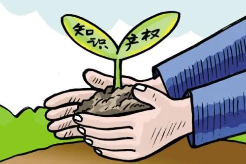 <b>數字版權登記，什么是數字版權呢？</b>